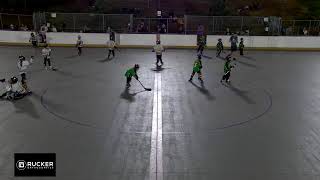 8U Rhinos VS 8u Rink Rats 10112024 [upl. by Hairehcaz]