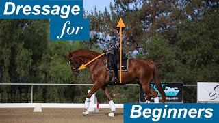 Dressage for Beginners [upl. by Ylrebmi]