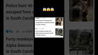 43 monkeys escaped from South Carolina Research facility center trending viralvideo [upl. by Drahsir]