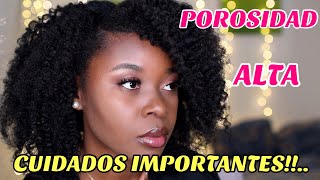 Cómo CUIDAR el CABELLO de POROSIDAD ALTA  Técnicas  Cuidados y Productos para ALTA POROSIDAD [upl. by Ivey712]