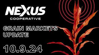 Nexus Grain Update  October 9 2024 [upl. by Elocal233]