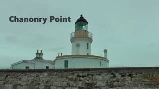 Chanonry Point Dolphins [upl. by Barthelemy573]