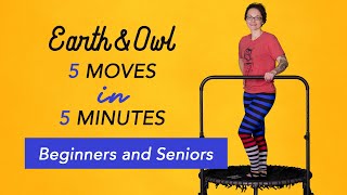 Beginners and Seniors 5 Minute Trampoline Rebounding Workout [upl. by Benco575]