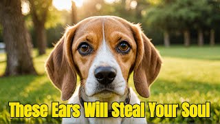 Cutest Dog Breed EVER Beagles Will Melt Your Heart Heres Why  Beagle Dog  Dog Breeds [upl. by Laud]