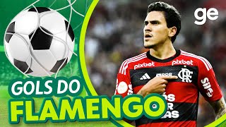 TODOS OS GOLS DO FLAMENGO NO BRASILEIRÃO 2023  LISTAS  geglobo [upl. by Isobel204]