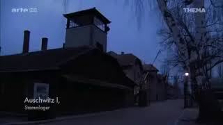 Auschwitz  Zeitzeugen berichten  Dokumentation [upl. by Elleiad]