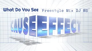 Cause Effect  What Do You See Freestyle Mix DJ WS [upl. by Aisatna]