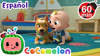 Las Mascotas 🐶🐱  Canciones Infantiles  Caricaturas para bebés  CoComelon en Español [upl. by Corley]