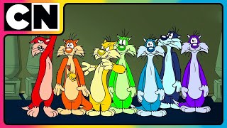 Colourful Sylvesters Chase Tweety Bird  Looney Tunes  Cartoon Network Asia [upl. by Alur238]