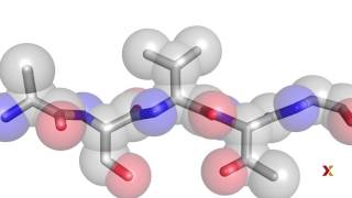 Principles of Biochemistry  Harvardx on edX [upl. by Etnomaj]