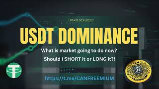 USDT Dominance Analysis Update Is a Crypto Correction Coming Or is There Still Room for Profits 📊 [upl. by Sokin]