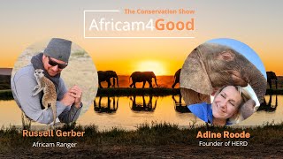 Africam4Good  Elephant Conservation with Adine Roode [upl. by Palm]