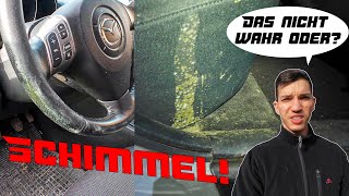 Ich brech ab Nicht das noch  Mazda 3  3  Schimmel im Innenraum überall Schimmelbeseitigung [upl. by Anayet959]