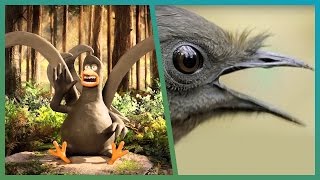 Lyrebird Meets Attenborough ft Aardman Animations Attenborough90  BBC Earth Unplugged [upl. by Rivy856]