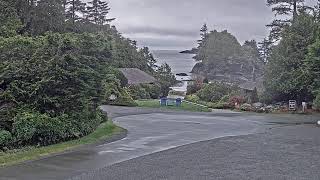 Beachview Cam  Crystal Cove Beach Resort Tofino BC [upl. by Rajiv]