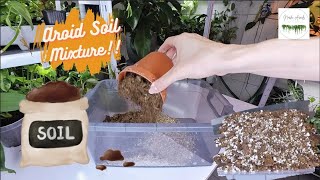 🌱My Aroid Soil Recipe🌱  Easy DIY potting Soil Mixture [upl. by Ryan]