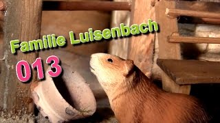 Pferdestall für Schleich Pferde  GUTSHOF LUISENBACH 013  Meerschweinchen amp Co [upl. by Rosenzweig]