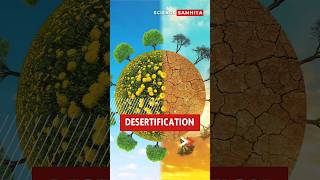 What is Desertification Causes and Solutions Explained desertification [upl. by Milton627]