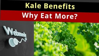 Is Kale Good for you  Top 5 Kale Health Benefits  Kale Benefits You Did Not Know [upl. by Bolton]