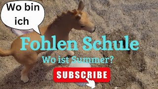 Fohlenschule Teil 3 Wo ist Summer [upl. by Faxen]