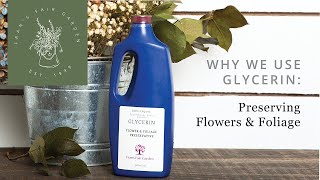 Why We Use Glycerin Preserving Flowers amp Foliage [upl. by Monda]