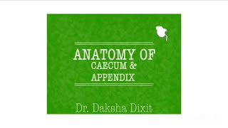 ANATOMY OF CAECUM amp APPENDIX [upl. by Nauhs]