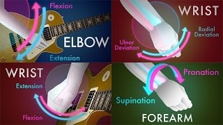 Guitar Anatomy The Four Fundamental Movements Every Guitarist Should Know [upl. by Sinnal149]