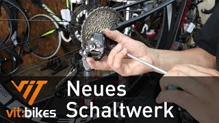 Wie erneuere ich mein Schaltwerk  vitbikesTV 162 [upl. by Epps]