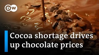 Chocolate prices soar this Easter  DW News [upl. by Richella]