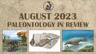 August 2023 Paleontology Month in Review [upl. by Marx]