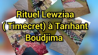 Rituel Lewziaa  Timecret à Tarihant Boudjima  Novembre 2024 [upl. by Yoreel939]