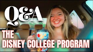 I left the Disney College Program ONE YEAR ago [upl. by Murvyn]