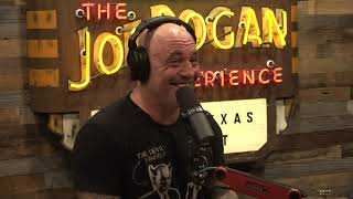 Joe Rogan Experience 1707  Kyle Dunnigan amp Kurt Metzger [upl. by Vizza]