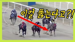 전지적망아지시점 이 사이를 기어코 뚫고 나가네요 10등으로 출발한 경주마의 최종 순위 다프네의 열여덟번째 경주 [upl. by Layap599]