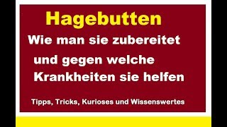 Hagebutten zubereiten gegen Arterienverkalkung trocknen Stärkung Immunsystem Bildung Immunzellen [upl. by Nidorf811]