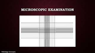 Microscopic examination of CSF  Cerebrospinal Fluid  Microscopy [upl. by Iclehc]