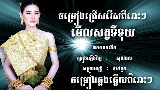 មើលសត្វទីទុយ Merl Sat Ty Tuy SoNal NONSTOP CHA CHA KHMER thakien [upl. by Eilsel]