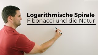 Logarithmische Spirale Fibonacci und die Natur Mathematik im Alltag Mathe by Daniel Jung [upl. by Acinelav]