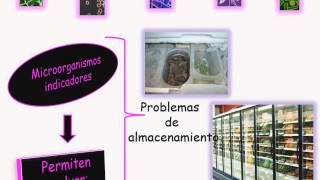 Microbiologia de los alimentos MDA [upl. by Swagerty780]