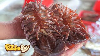 Extreme Seafood Cooking Giant Isopod in Vietnam [upl. by Ioved270]