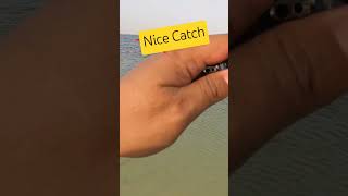 Nice catch phonk fishing fishingequipment qatarfishing trending shortsvideo shorts [upl. by Harihs]