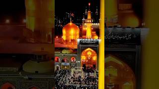 Noha Maula Imam E Raza  shorts  viralvideo  imamraza [upl. by Neggem]