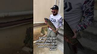 Sazan avının en önemli hususu yemlemeyi ne aralıklarla ve nasıl yapıldığdır fishing sazanavı [upl. by Ryun]