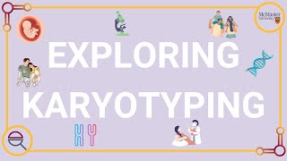 Exploring Karyotypes [upl. by Aelanna]