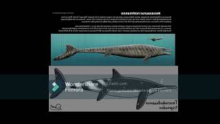 Temnodontosaurus trigonodon new size estimate in a nutshell [upl. by Nyllek]