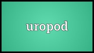 Uropod Meaning [upl. by Issirk639]