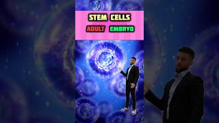 GCSE Biology  Stem Cells [upl. by Palermo]