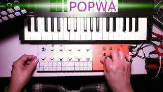 【 seqtrak 】🤛DEBIT 144🤜 👉POPWA👈 [upl. by Wera]