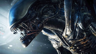 ALIEN  HISTÓRIA E BIOLOGIA DOS ASSUSTADORES XENOMORFOS [upl. by Ioab412]