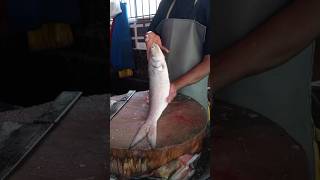 Salmon fish cutting skill [upl. by Aseiram435]